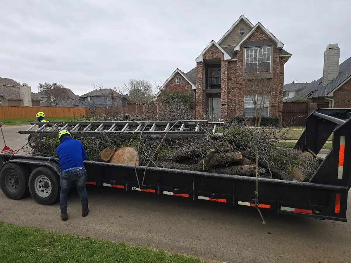 Expert Tree Fertilization with proper safety equipment in Grandy